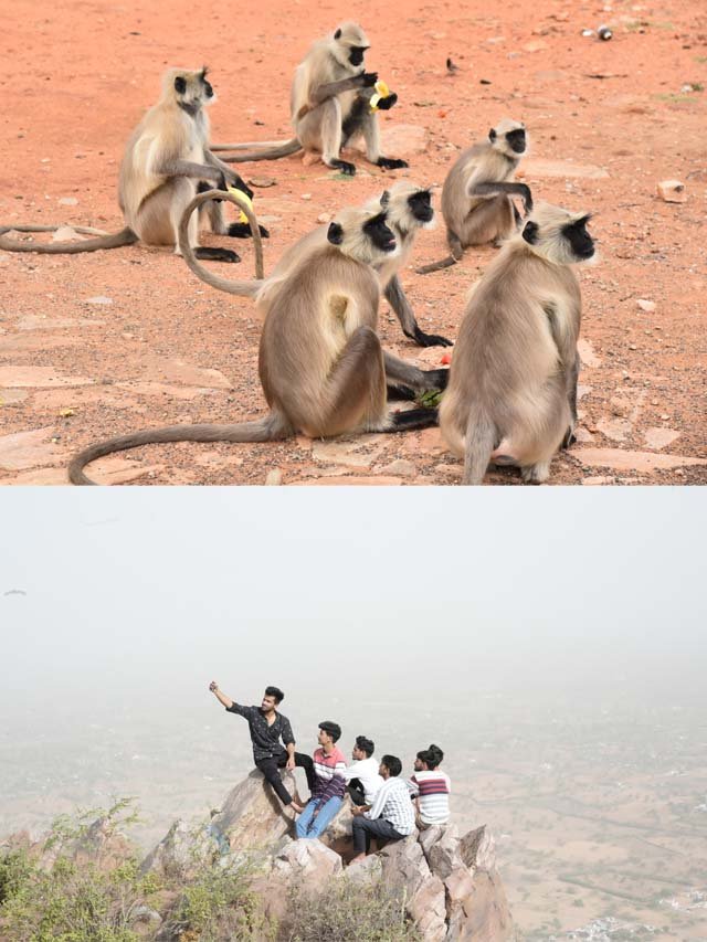 सीकर के प्रमुख पर्यटक स्थल