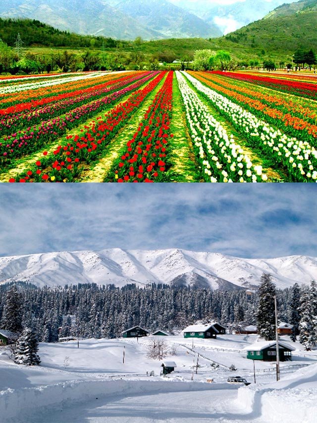 Srinagar